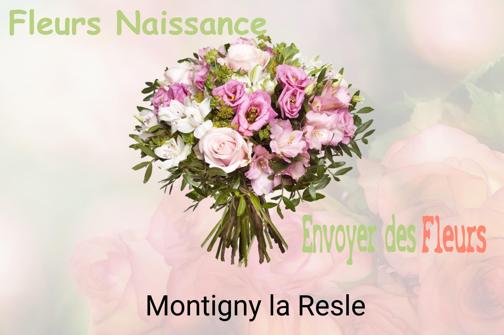 Bouquet de fleurs de naissance livré à Montigny-la-Resle