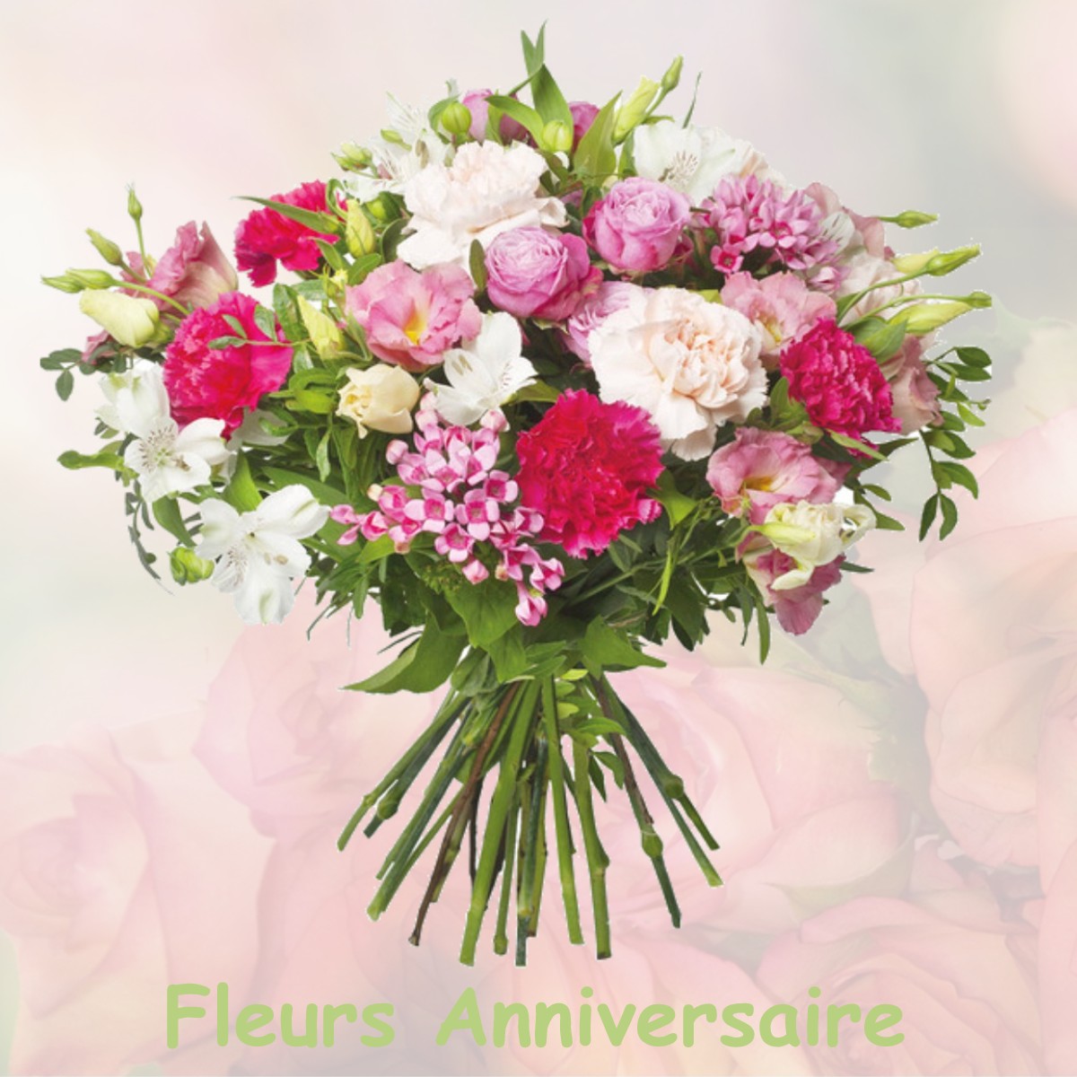 fleurs anniversaire MONTIGNY-LA-RESLE
