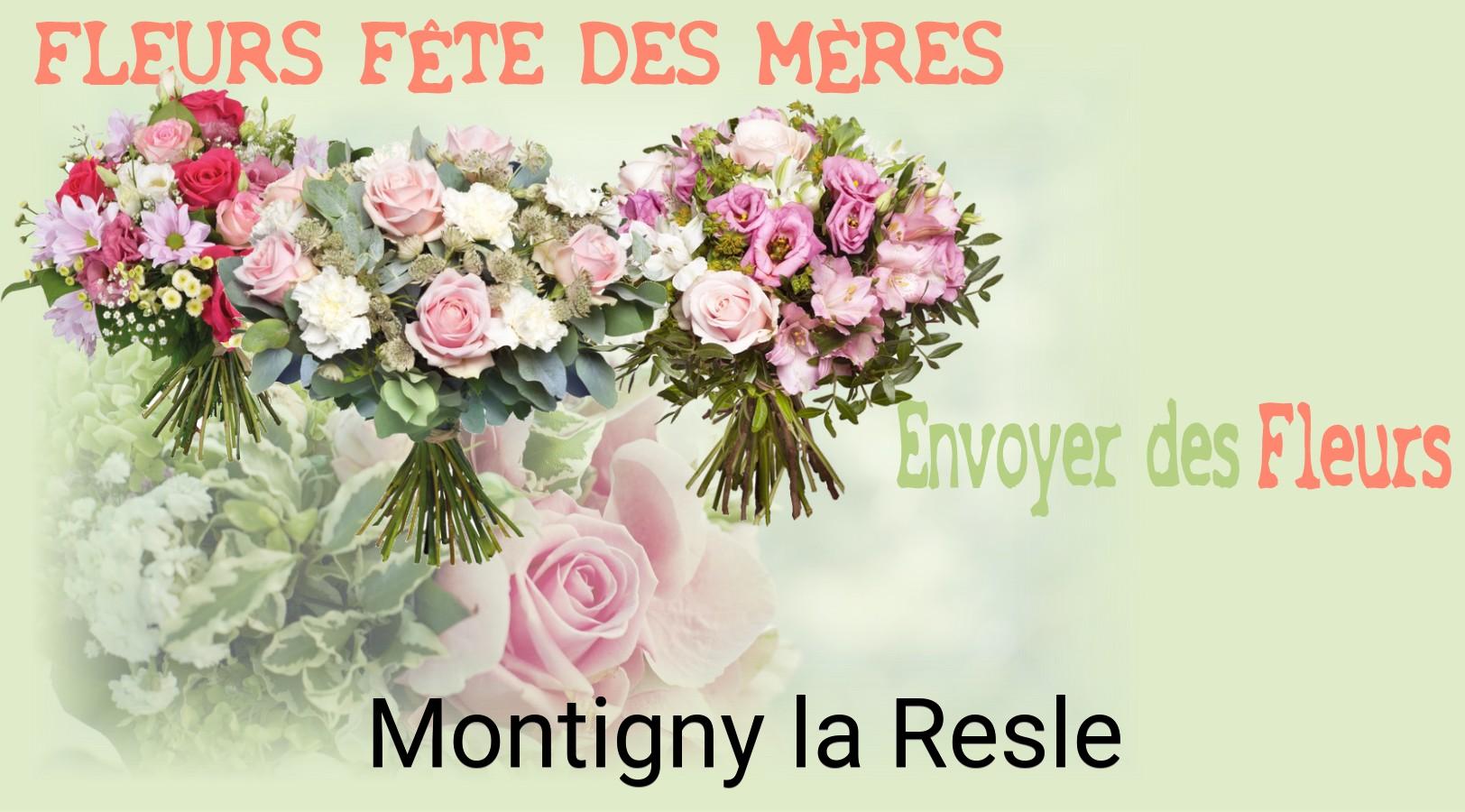 Bouquet de Fête des Mères livré à Montigny-la-Resle